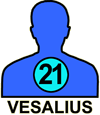 VESALIUS#21