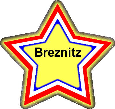 Shlomo Brenitz