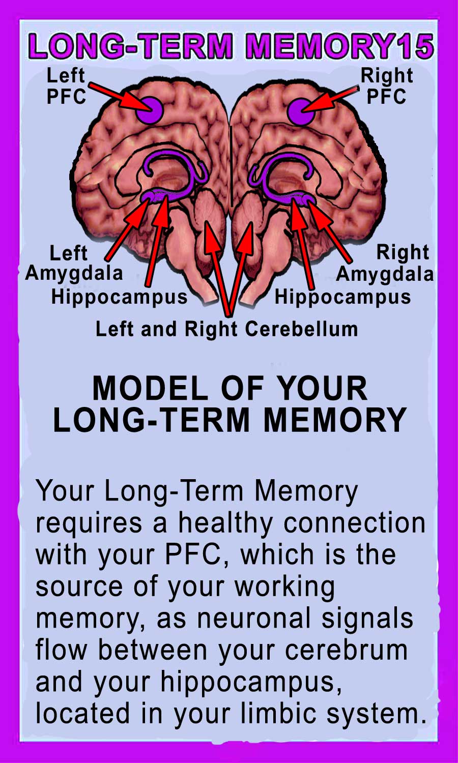 Long-Term Memory Back