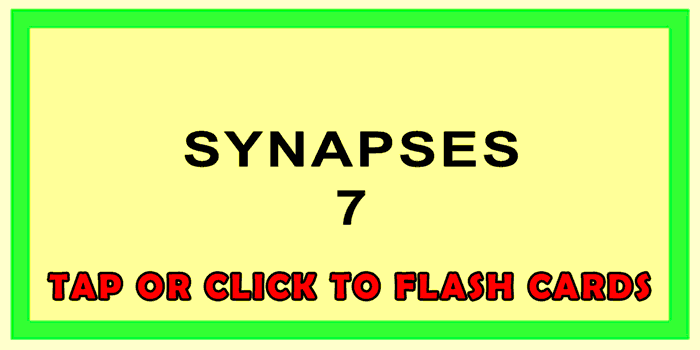 Synapses Front
