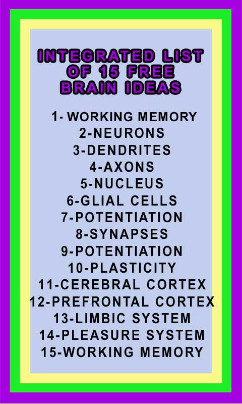 Brain Ideas Index