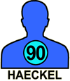 HAECKEL#90