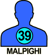 MALPIGHI#39