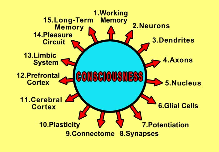 Circle of Consciousness Front