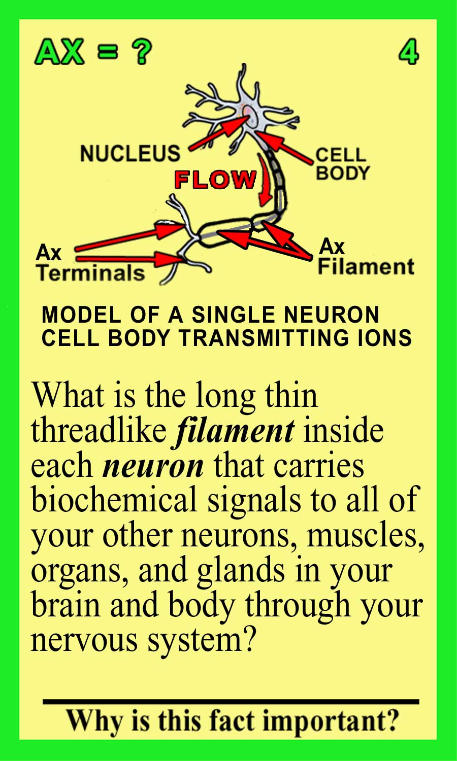 Axon-Front