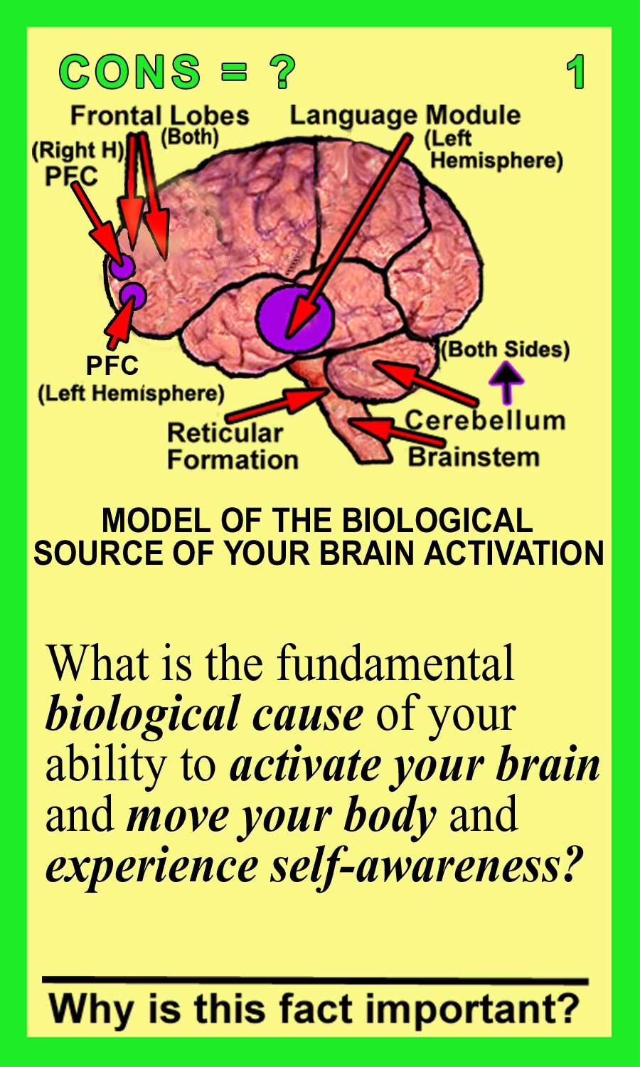 Consciousness Front