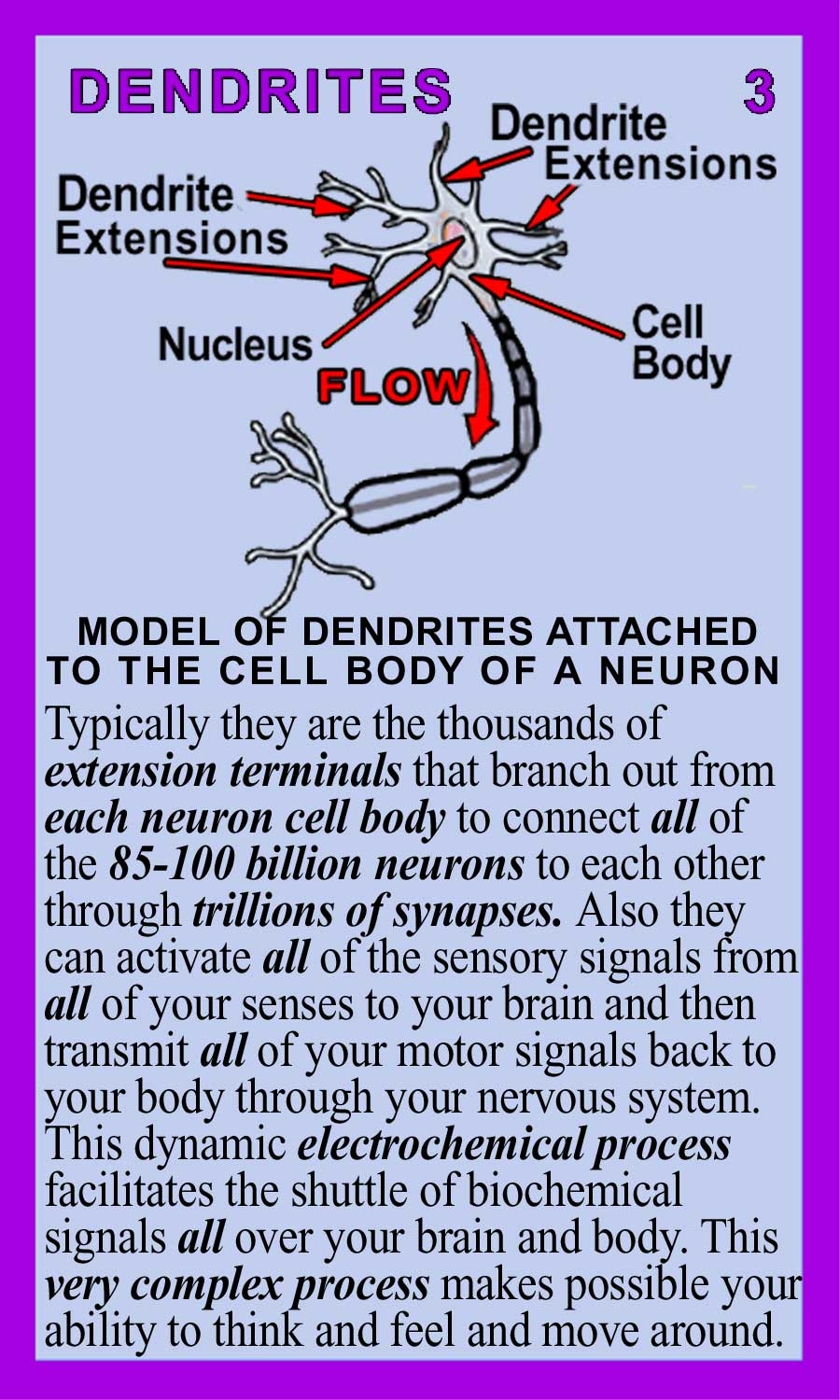 Dendrites Back