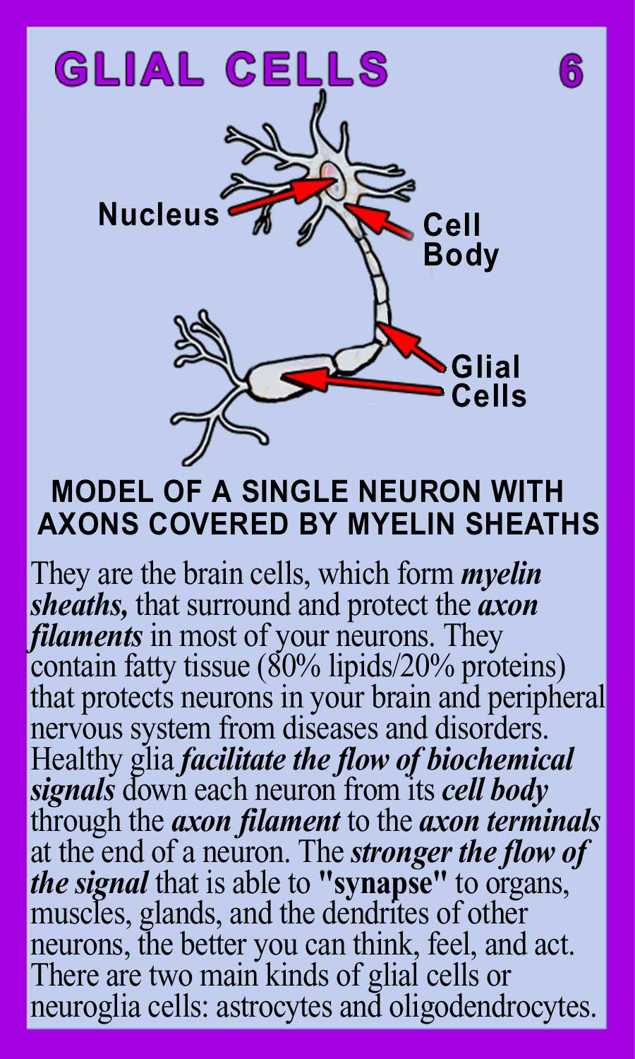 Glial Cells Back