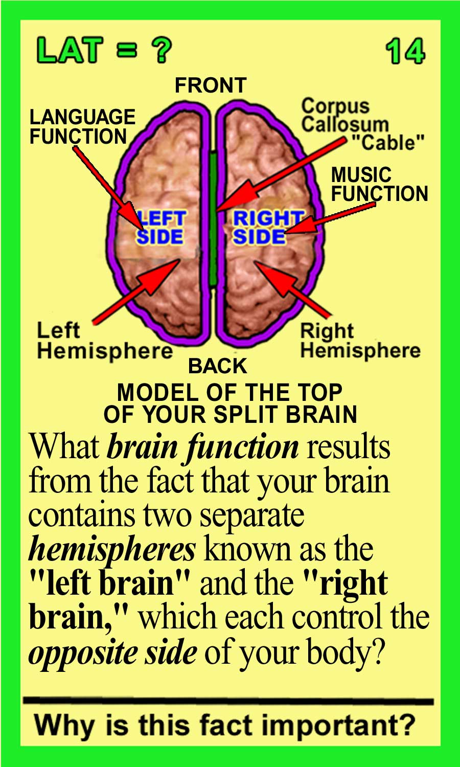 Lateralization Front