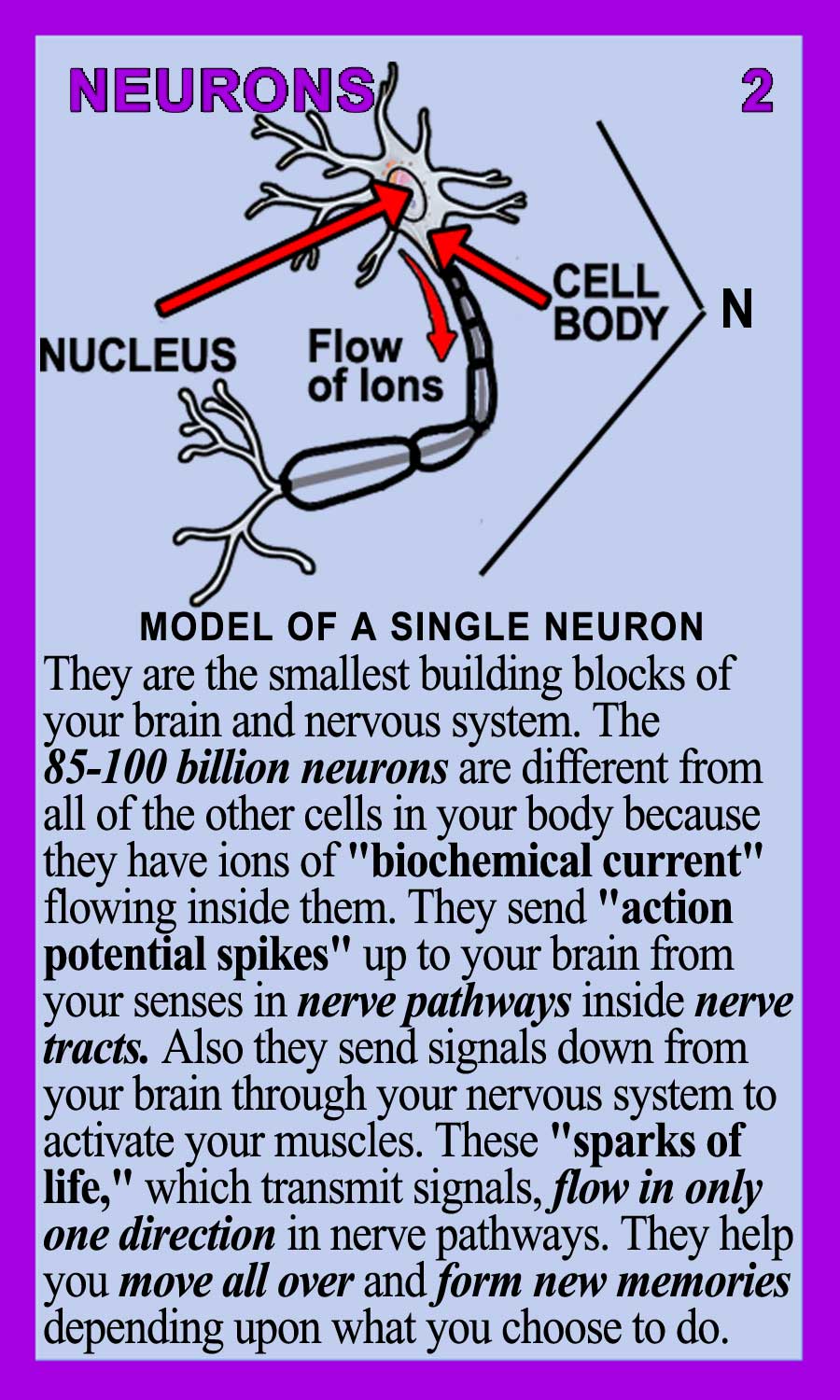 Neurons-Back