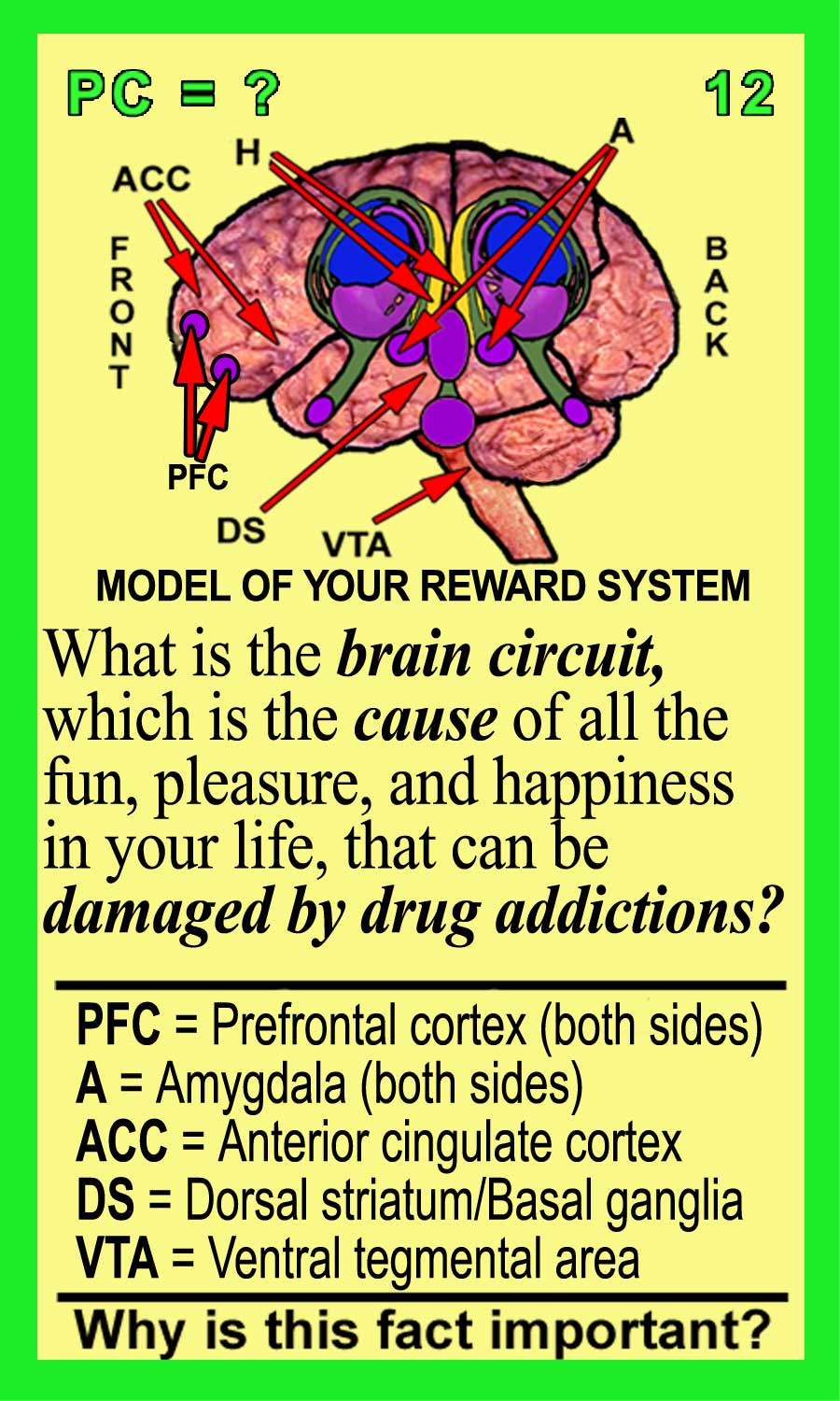 Pleasure Circuit Front