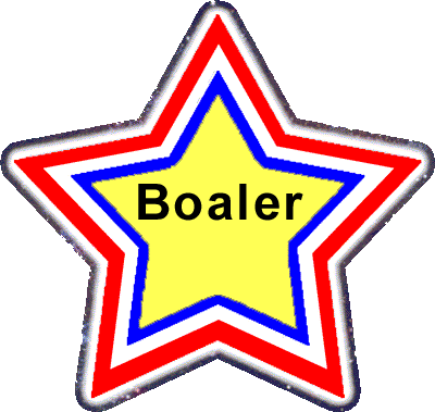Jo Boaler