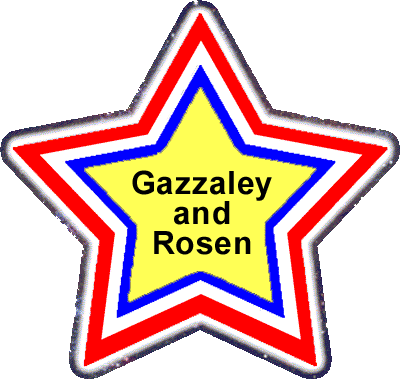 Adam Gazzaley-Larry Rosen