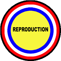 reproduction