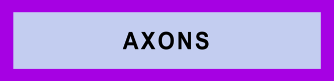 AXONS