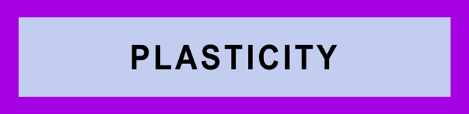 PLASTICITY