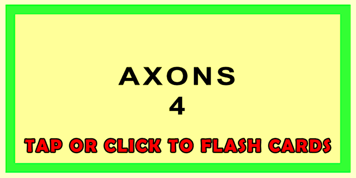 Axons