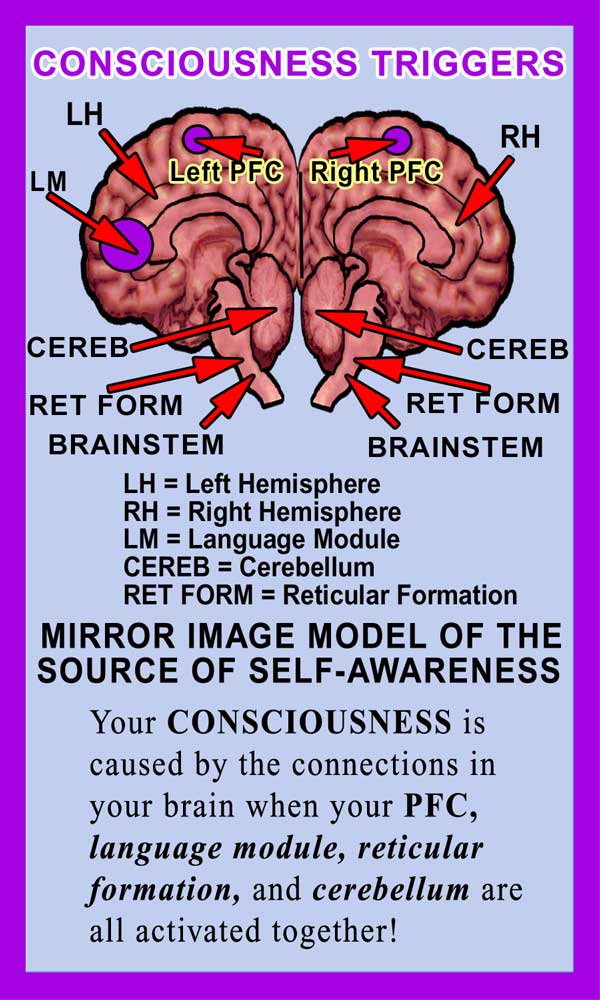 Long-Term Memory Front