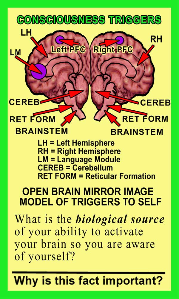 Consciousness Front