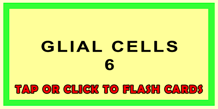 Glial Cells