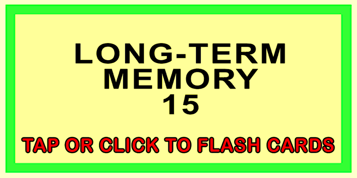 Long-Term Memory