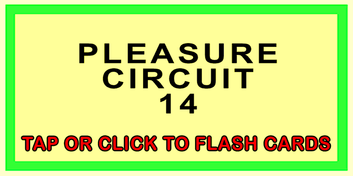 Pleasure Circuit Front