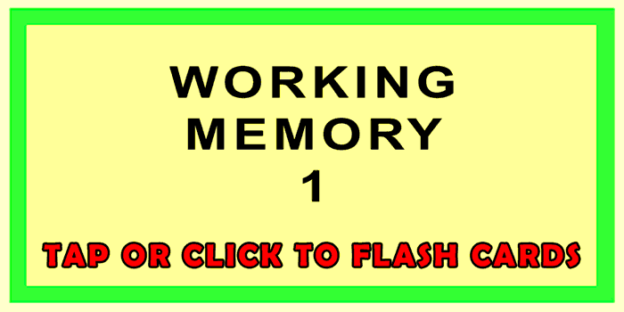 Working Memory