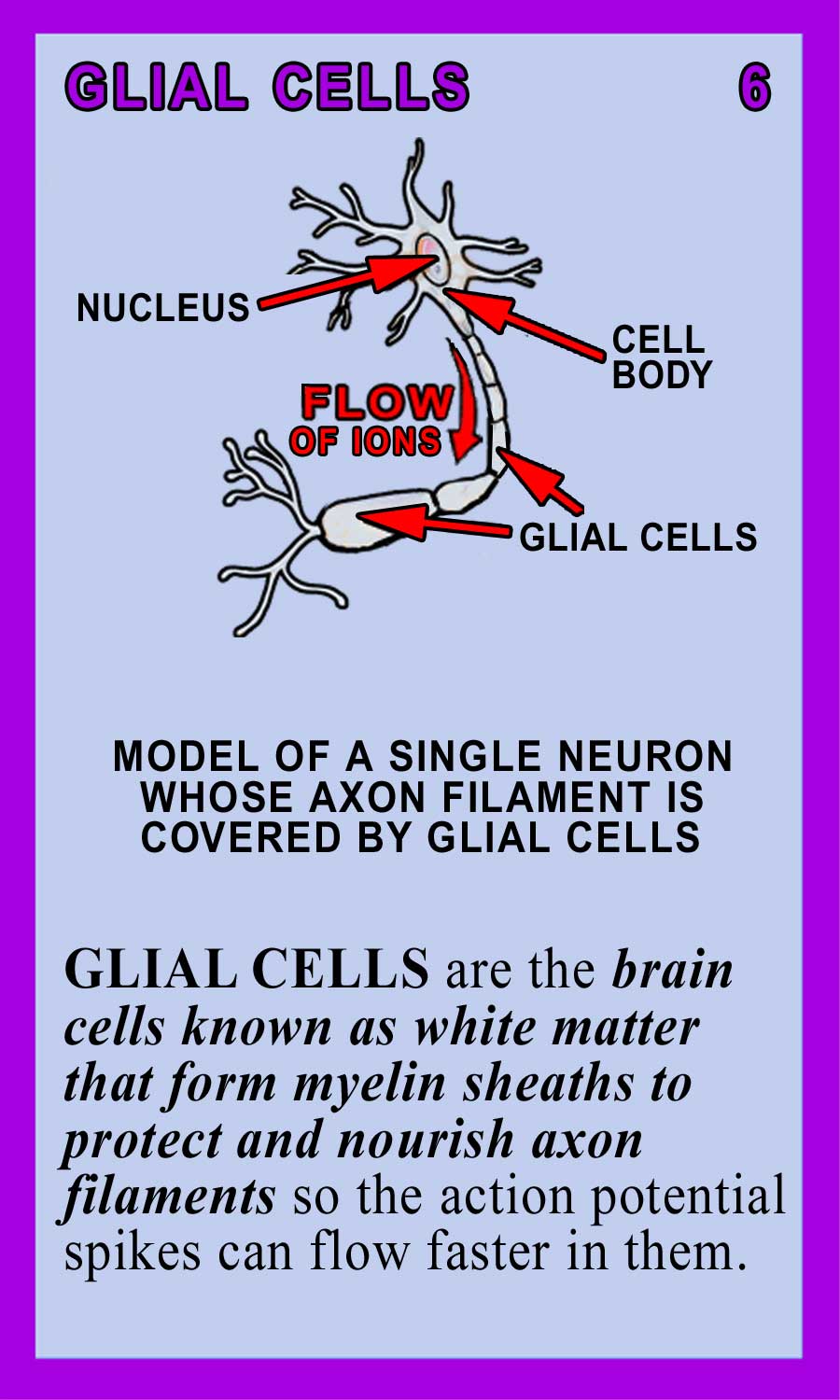 Glial Cells Back