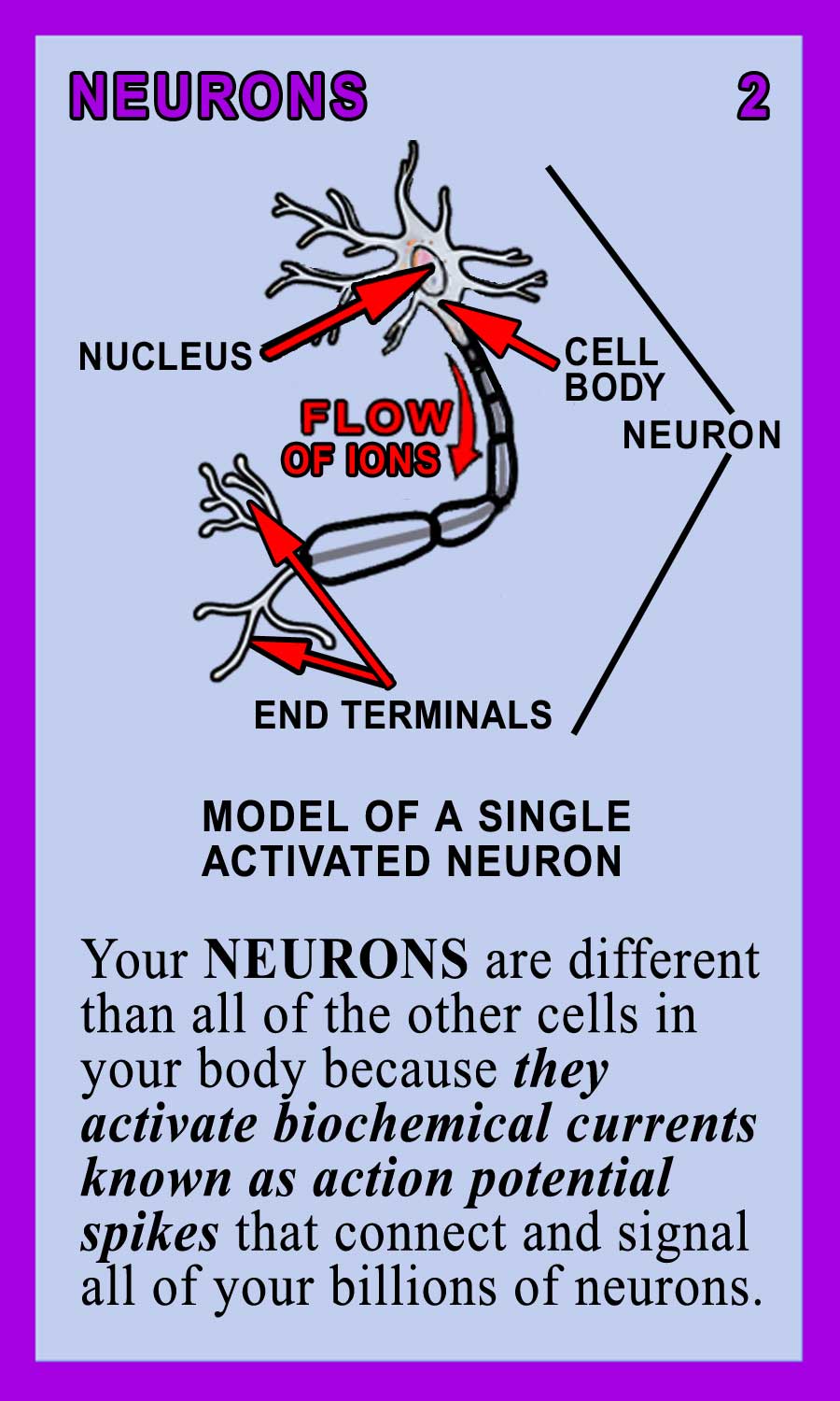 Neurons-Back
