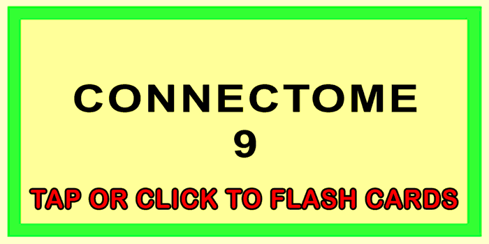 Connectome Front